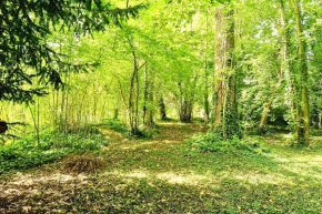 VILLA EDOUARD - 180m2 in nature & forest - 20min Disney - 7min airport